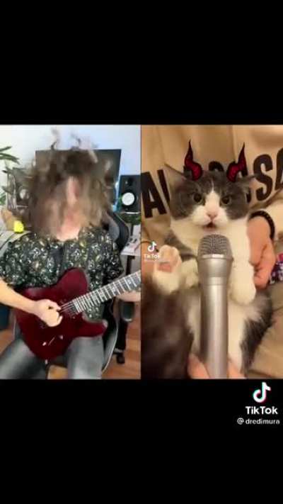 Death Kitty