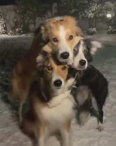 "Oh, are we taking photos now!?!?!?"