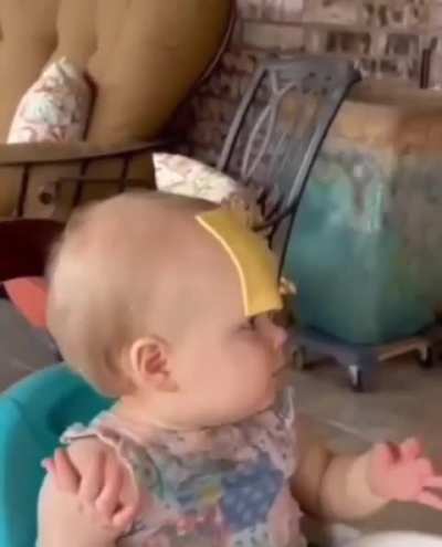 The Power Of CHEESE 