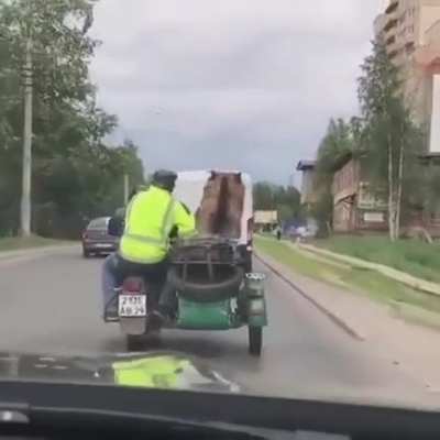 I think the russians' exclusive pets are kinda OP