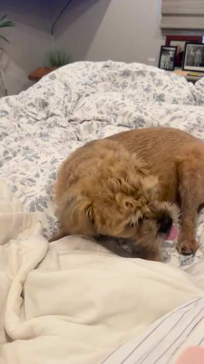 Seizure in 6 year old BT?