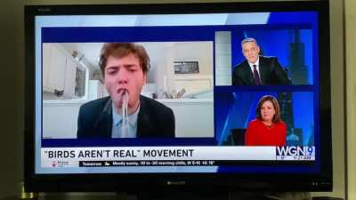 Morning news interview with guy from birds aren&rsquo;t real.