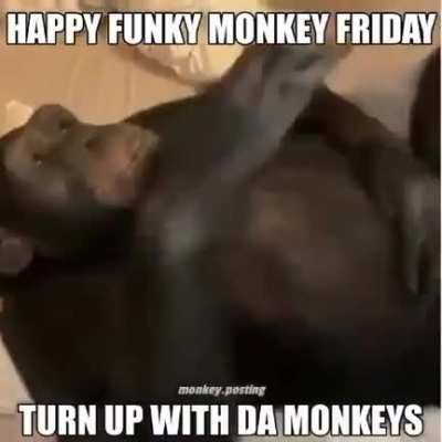 Happy Friday y&rsquo;all