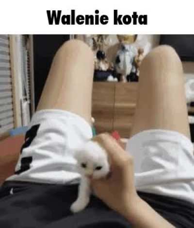 Marszczyć futrzaka