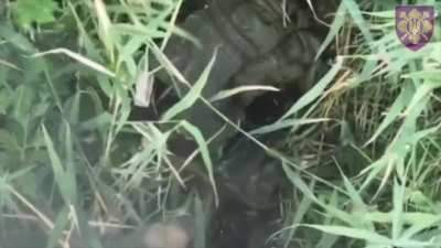 Ukrainian drones drop FOGs on Russian infantry in the Luhansk region