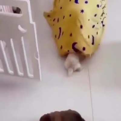Aww, the humanity!