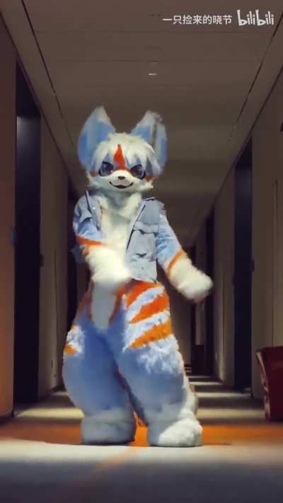Furry_irl