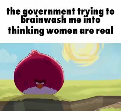 Men without dicks