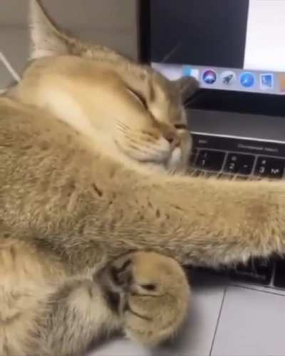 Shhhh.... I&rsquo;m trying to sleeeep