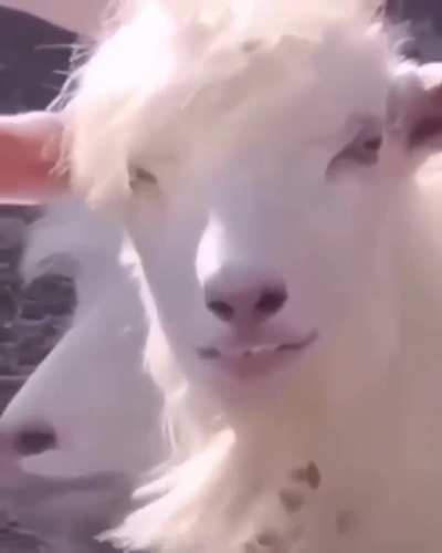 Look like someone you Know?