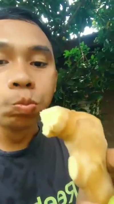 Obat alami