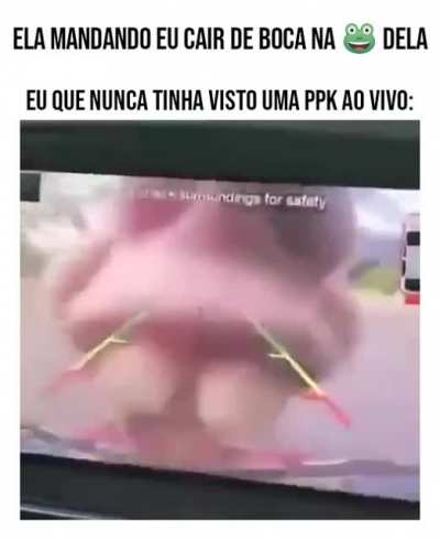 Rei D'elas