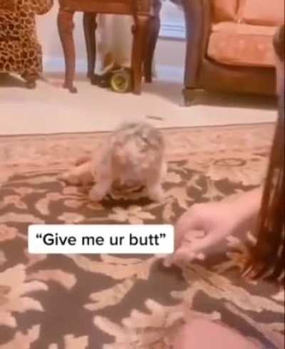 a new move.