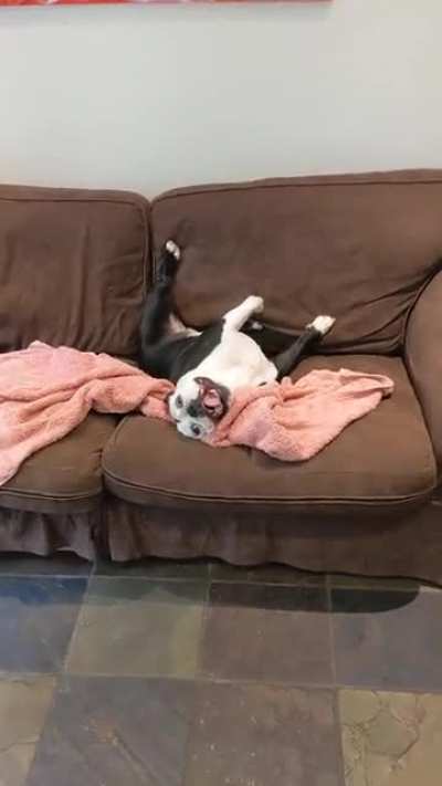 She always acts extra weird after bath time