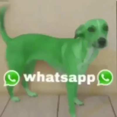 Cainele ce e sus