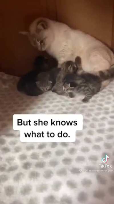 I&rsquo;ll be your mom now