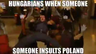 Hungarians when someone insults poland
