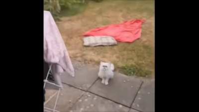 &ldquo;Blink, motherfucka!&rdquo;
