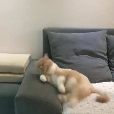 Riding a new bike while dreaming then crashing it