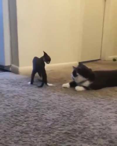 "Jesus, Kid. Chill."