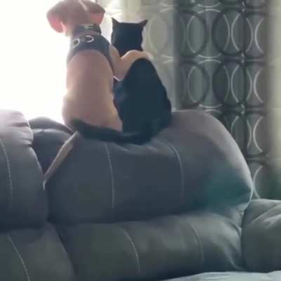 &ldquo;See that squirrel? Our common enemy.&rdquo;