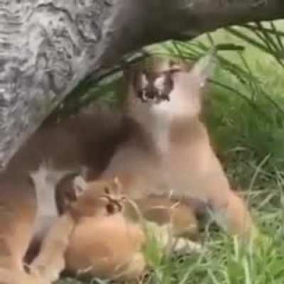 [sound on] 🔊
