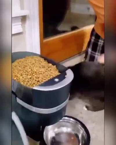 When mom says &ldquo;food is ready&rdquo;.