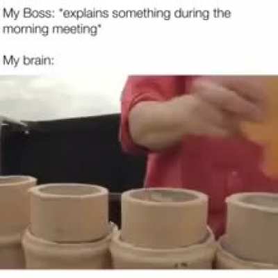 Oink Oink