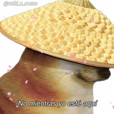 Cheems-san 👉👈
