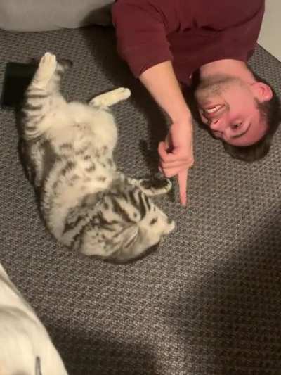 Does anyone else do this with their cat? I think she&rsquo;s trying to teach me something.