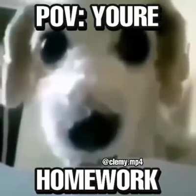 POV