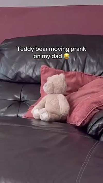 Teddy is alive!