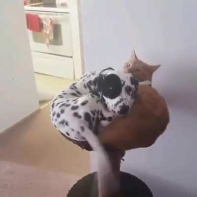 Revenge
