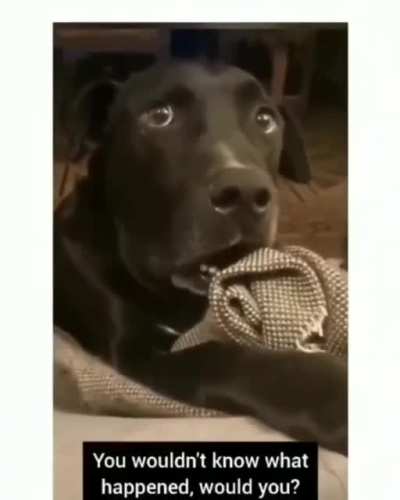 "What have I done"