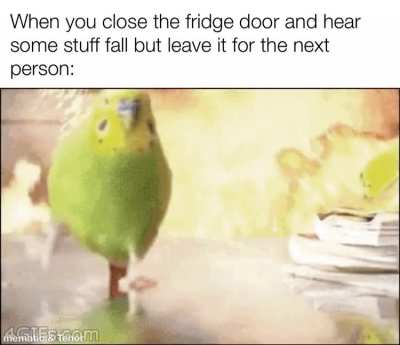 me_irl
