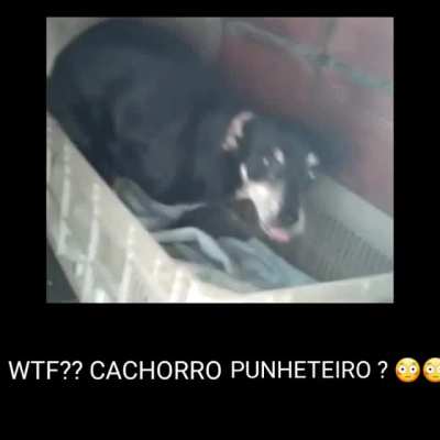 etinha