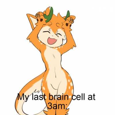 Furry_irl