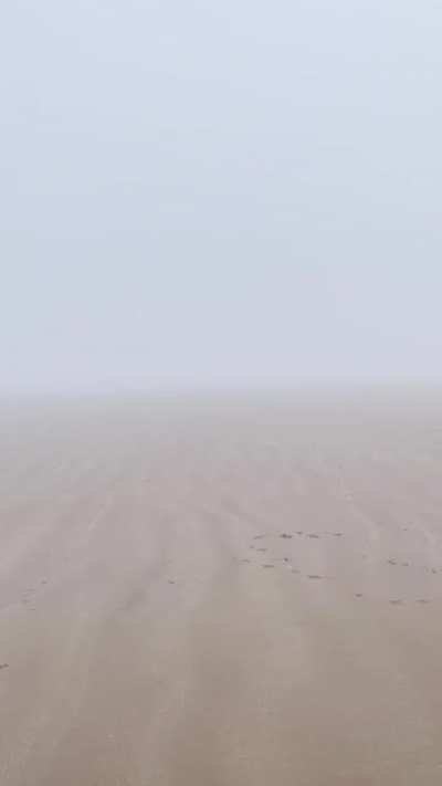 She&rsquo;s smol, but she plays fetch harder than any dog I know. (Sound on)