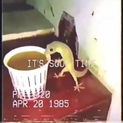 rule