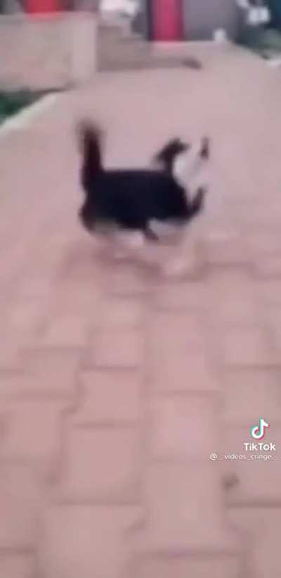 Cursed_