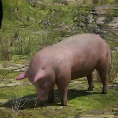Recuerdo: "Granja de Boric, te invitamos a votar!"
