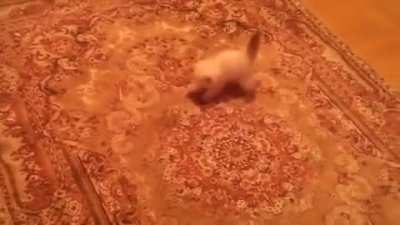 "What sorcery is this?!"
