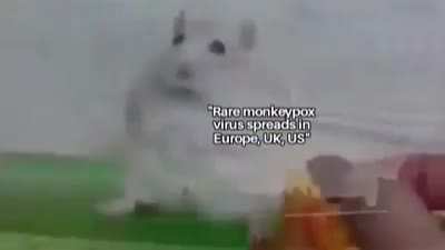 💀