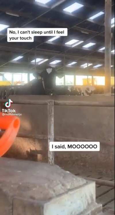 I said ooooooooooooo