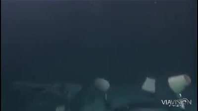 The best movie fighting scene ever!