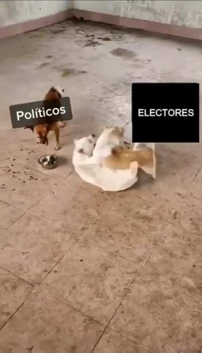 chairos vs fifis&hellip; &iquest;alguna vez tendremos politicos en Mexico tan buenos como Jacinda Ardern?