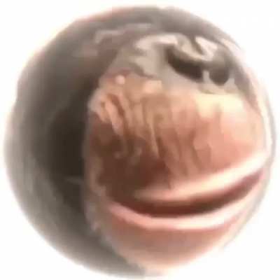 Is this the Afterlife...is this...god?