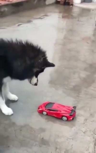 He&rsquo;s alright, just a little startled