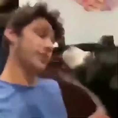&iquest;Are you gay bro?