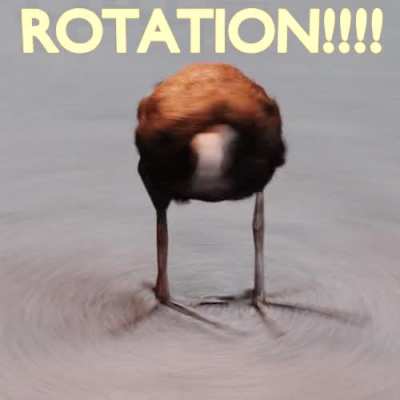 rotdsatfations